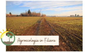Agroecologia in Filiera